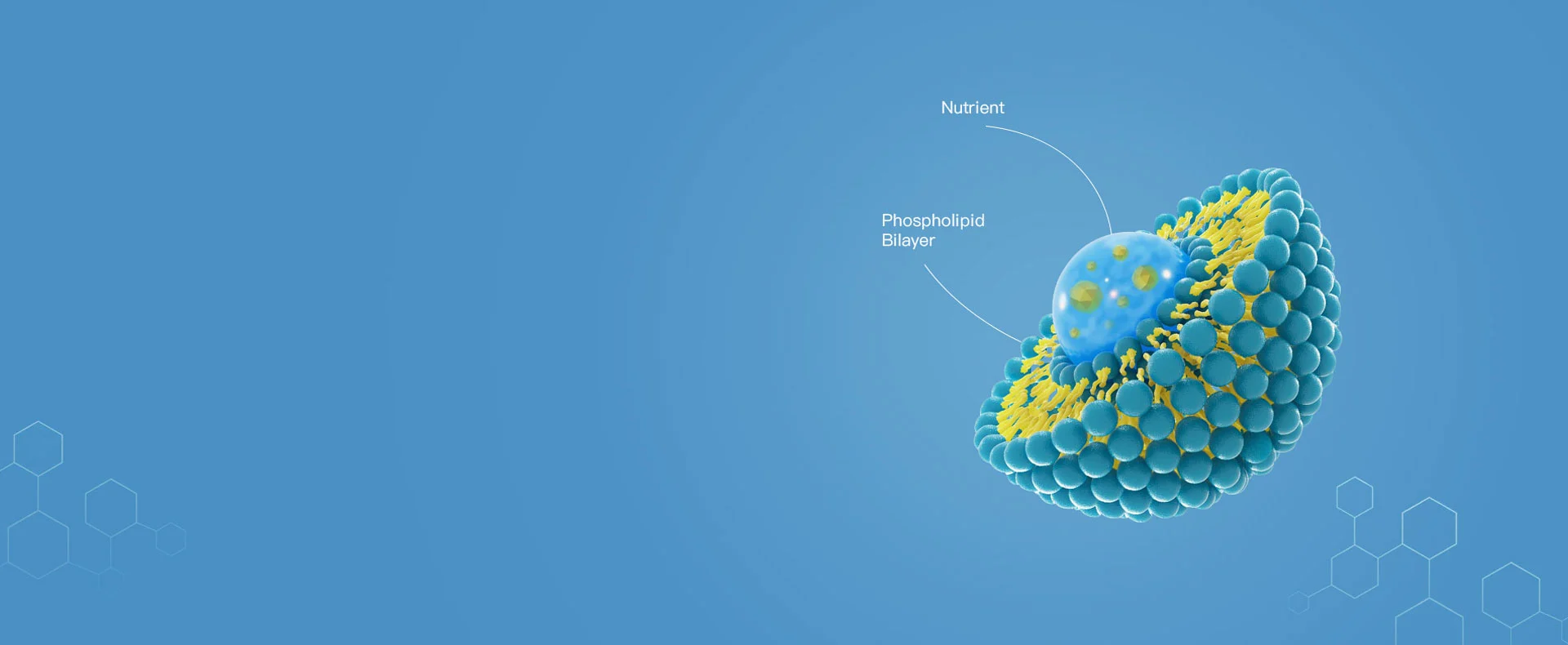 Tecnología de liposomas Co-cargado de campo natural
