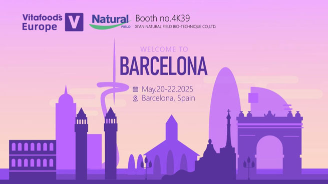 antiaging ingredients