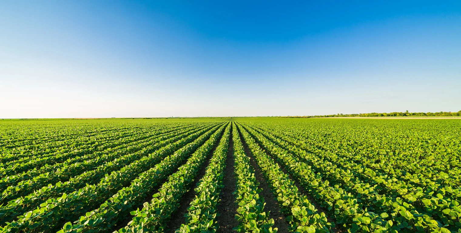 Requisitos de mayor calidad