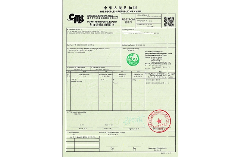 Historia del campo natural