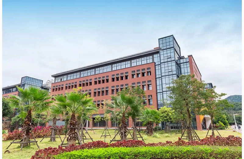 Historia del campo natural