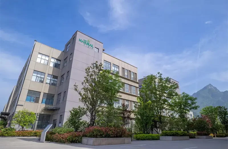 Historia del campo natural