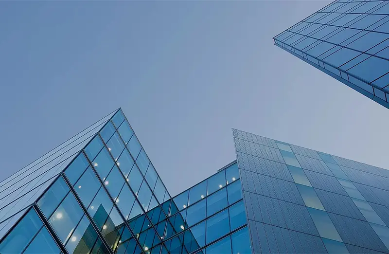 Historia del campo natural