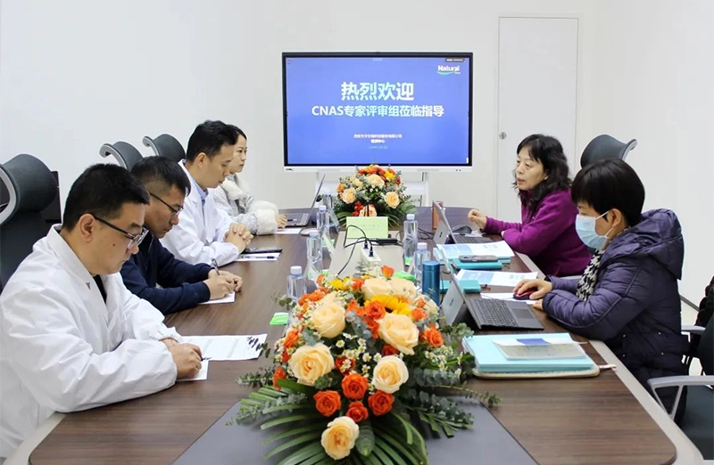 Historia del campo natural