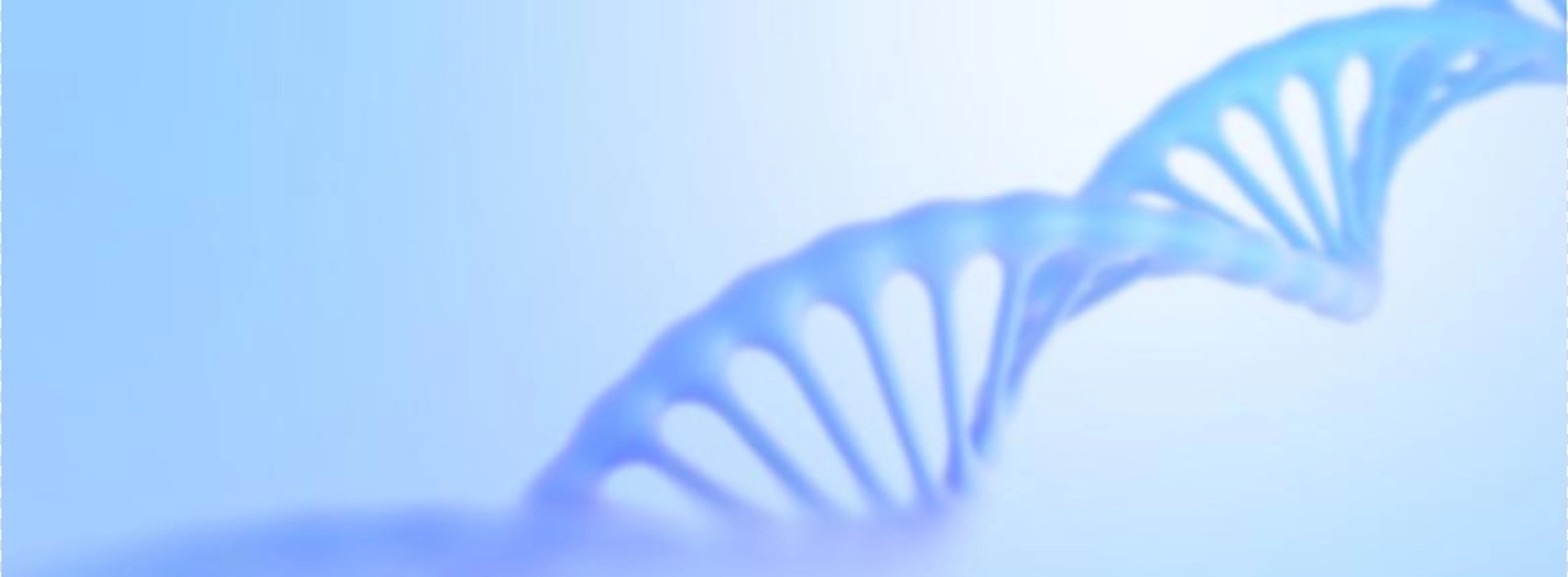 Suplemento de campo natural Ingredientes al por mayor