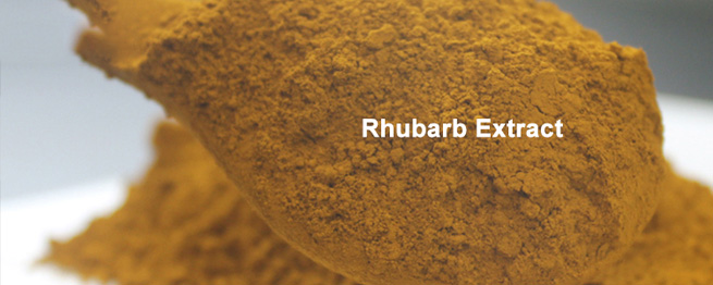 liposomal glutathione vs glutathione