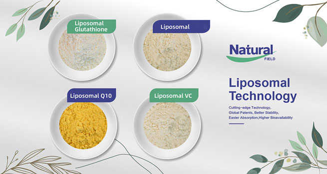 liposomal nad
