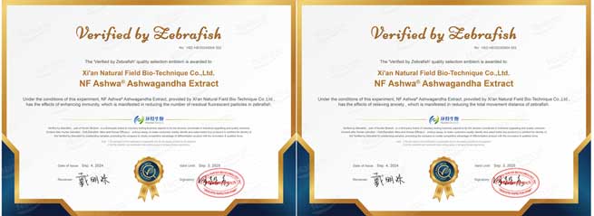 siberian eleuthero root extract 