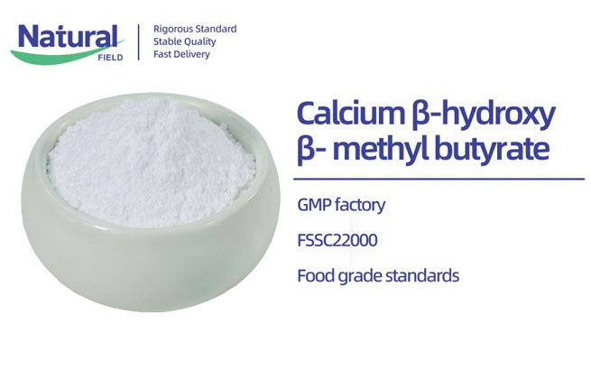 fenugreek extract supplement 