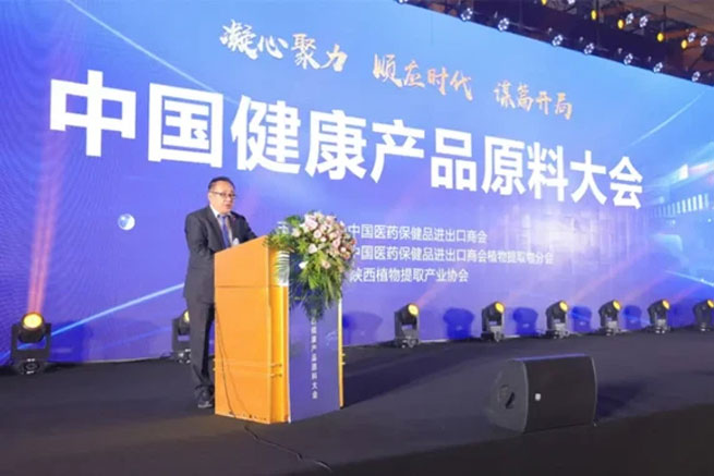 stinging nettle root powder 