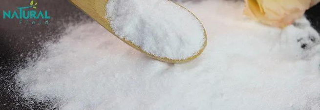 maca powder manufacturer 