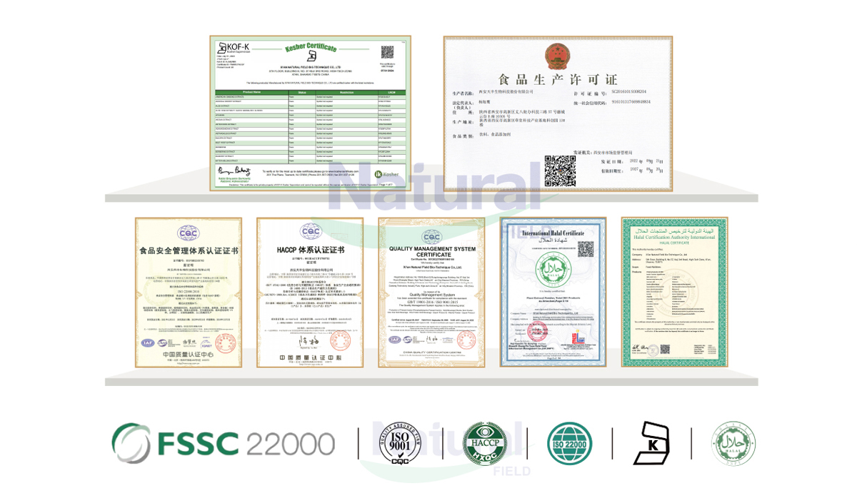 Garcinia Combogia Extract