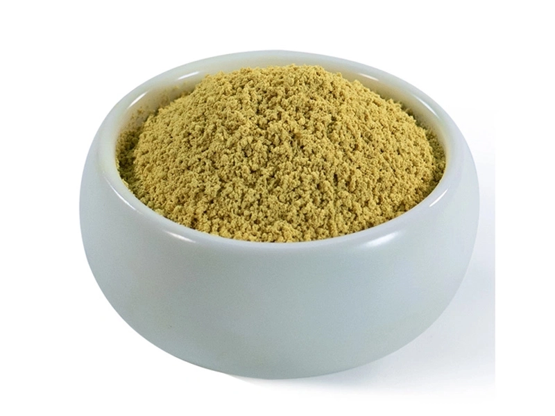 quercetin extract