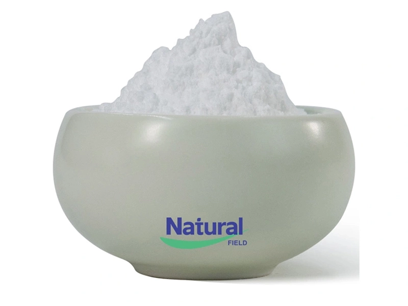 glutamine-pure-powder