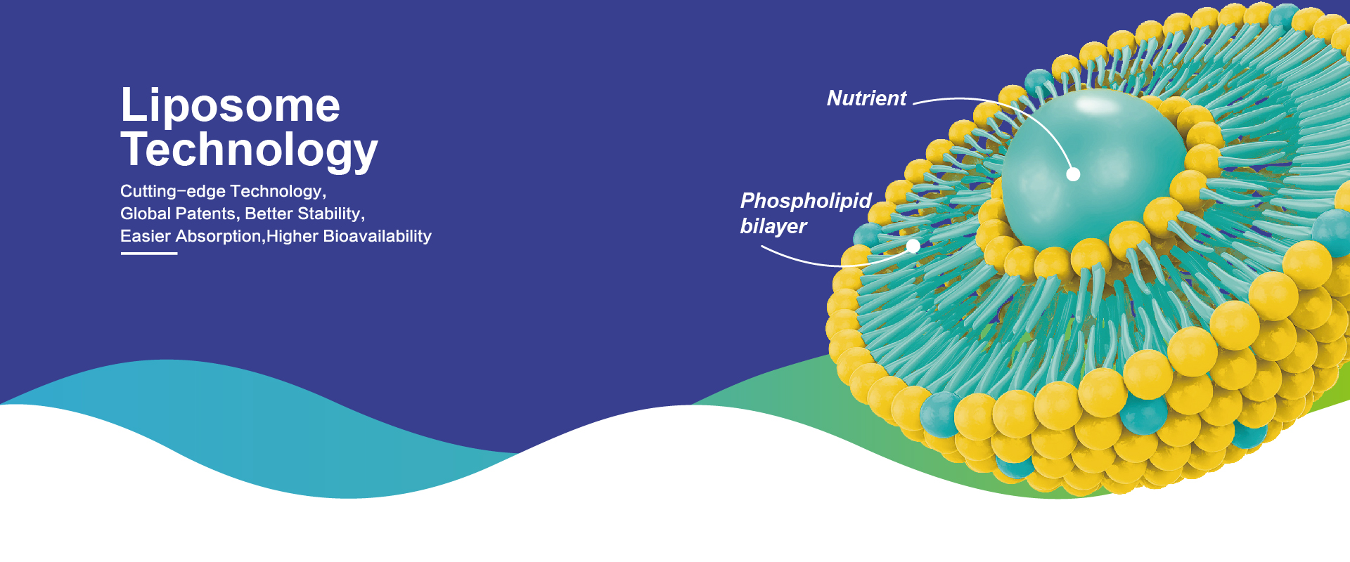 Productos de Liposomas de campo natural