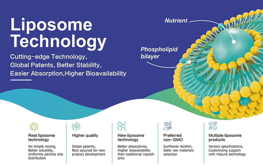 ¿Qué es el liposoma?