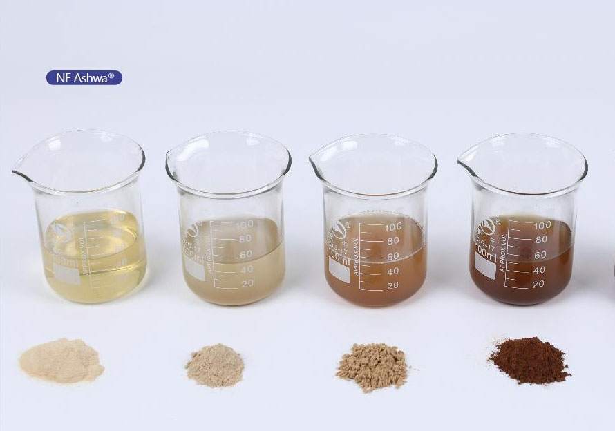 Nuevo descubrimiento de la ayuda natural para dormir: Ashwagandha de magnesio y doble protección, lo que le ayuda a disfrutar de una trineo profunda