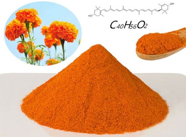 Los 10 mejores ingredientes saludables sugeridos en el mercado de 100 mil millones de cuidados oculares