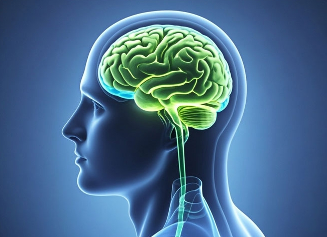 Materias primas intermedias de citosina: la piedra angular de la innovación farmacéutica y la fuerza motriz para una sana