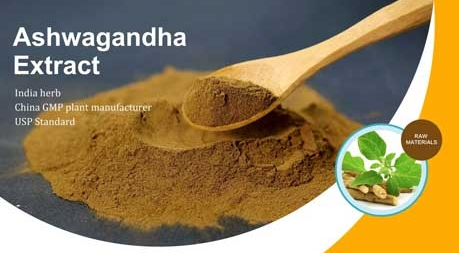 Descubriendo la droga milagrosa India Ashwagandha