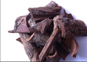 La aplicación milagrosa de extracto de ciruela africana en el campo de la salud