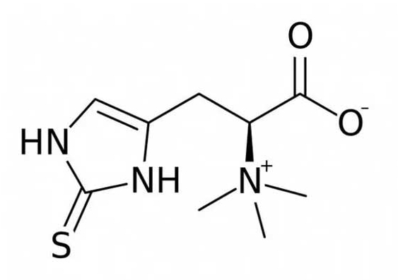 L-Ergothioneina Swisse y campo natural L-Ergothioneina