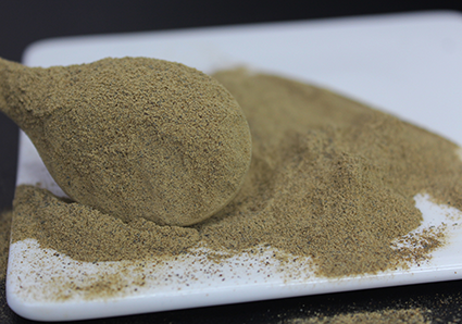 Extracto de Bacopa monnieri: beneficios y efectos secundarios