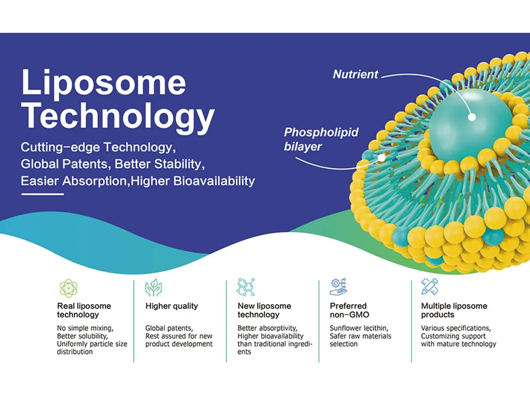 ¡El auge del mercado de la nutrición de liposomas! La revolución de la tasa de absorción está remodelando el panorama mundial de alimentos saludables