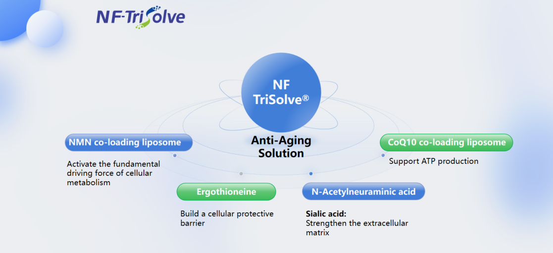 NF-Trisolve.png